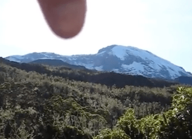 Screen Shot 2018-09-23 at 08.18.33