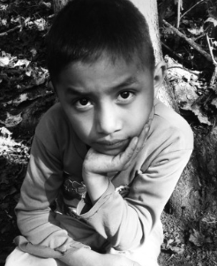 Screen Shot 2018-12-28 at 11.41.42.png