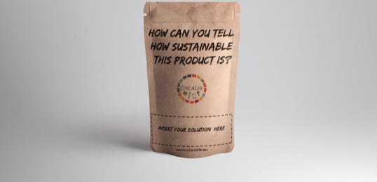 How Can you Tell how Sustainable This Product is?.png